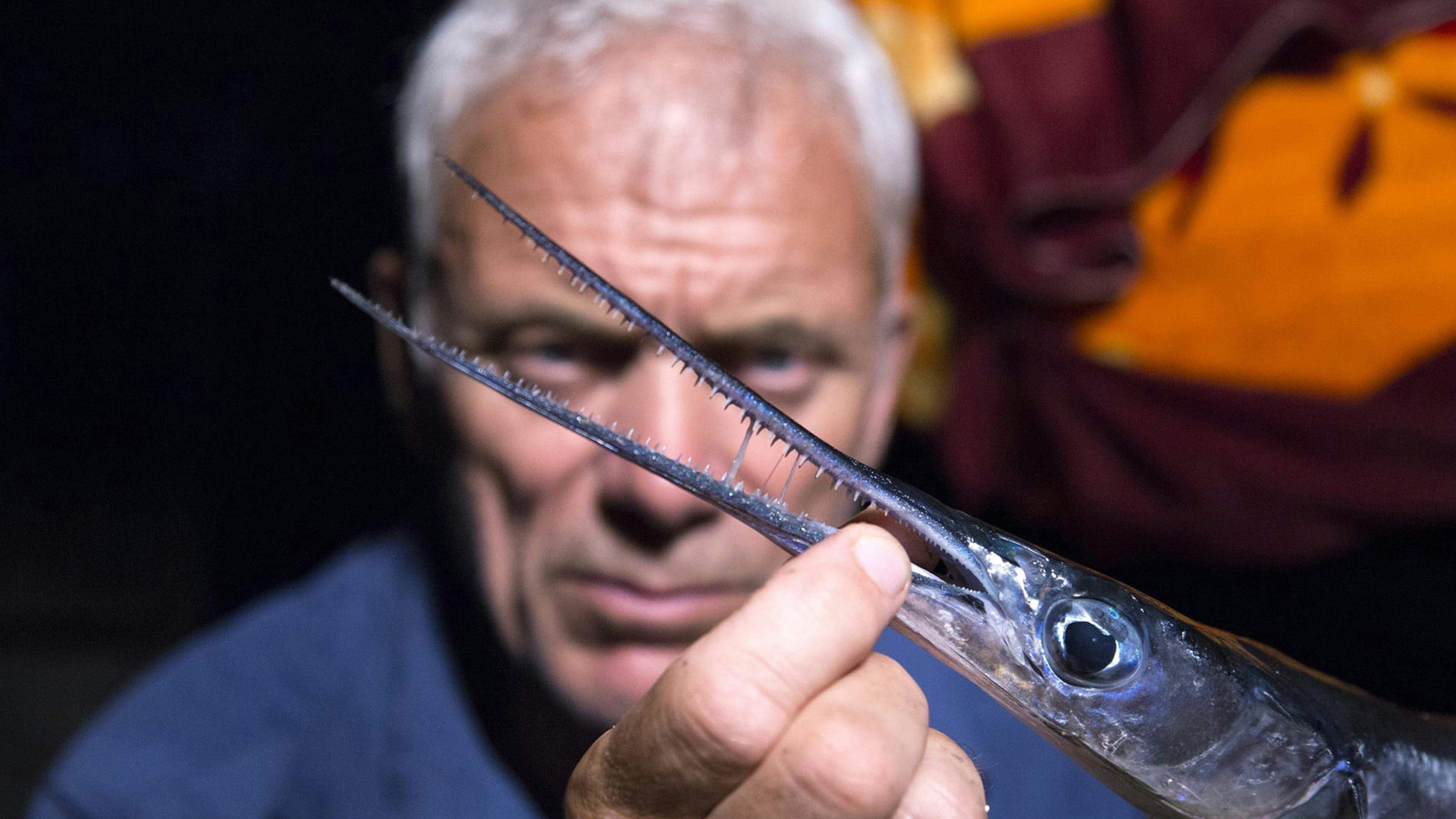River Monsters Season 9 Episode 6 River Monsters Season 9 Episode 6
